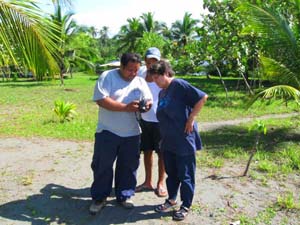 Experts checking turtle babys